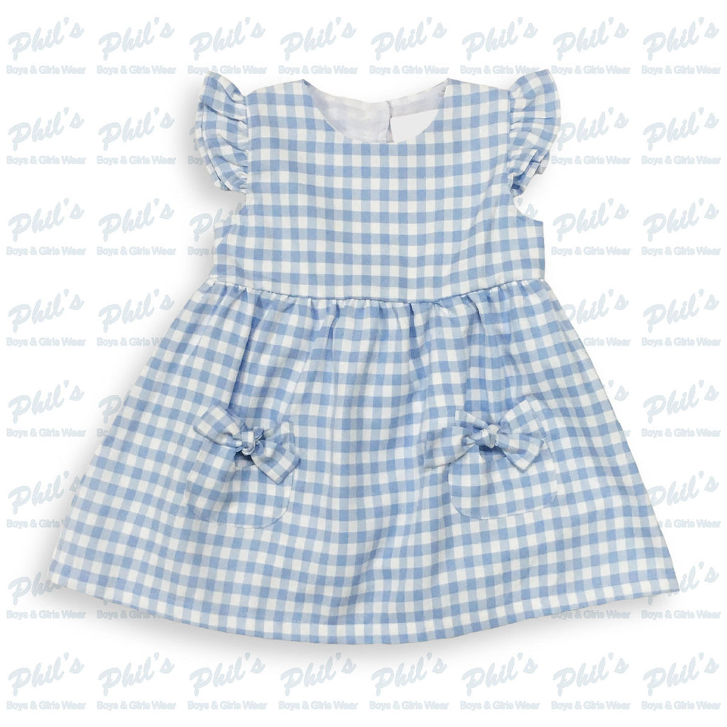 Blue Gingham Dress