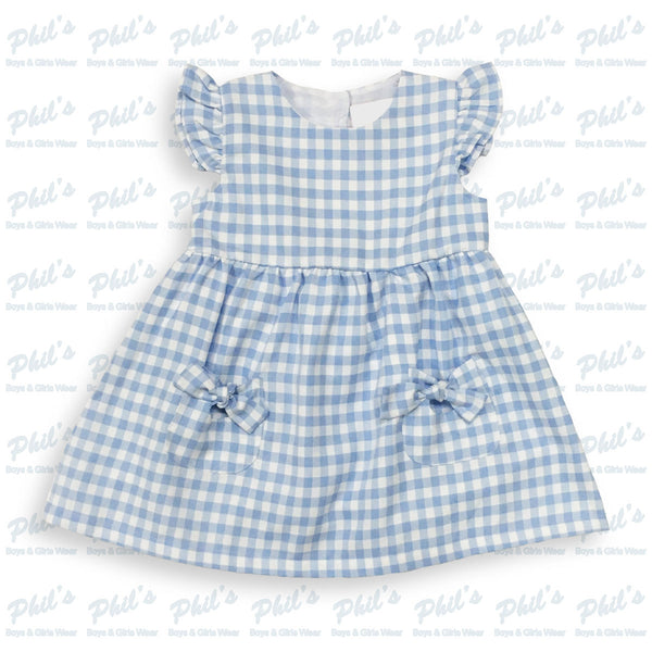 Blue Gingham Dress