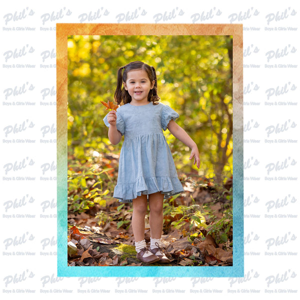 Chambray Floral Embroidery Dress