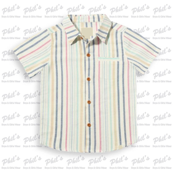 Thin Multi-Colored Stripe Button Down Shirt