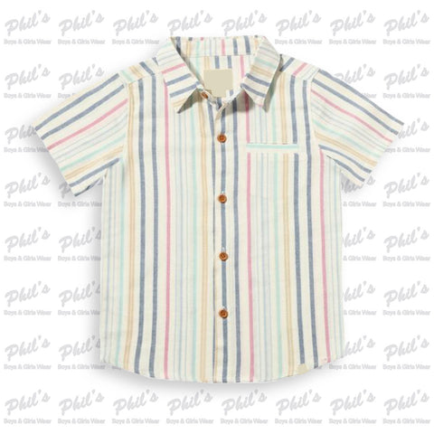 Thin Multi-Colored Stripe Button Down Shirt