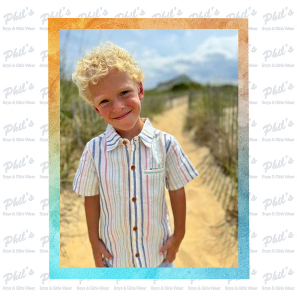 Thin Multi-Colored Stripe Button Down Shirt