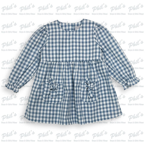 Blue Gingham Dress