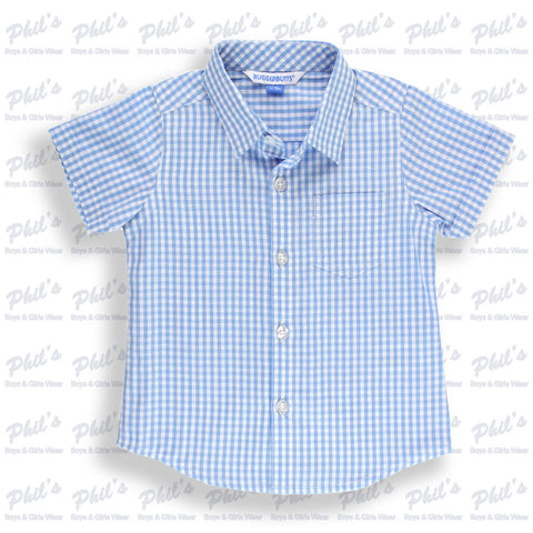 Blue Gingham Button Down Shirt
