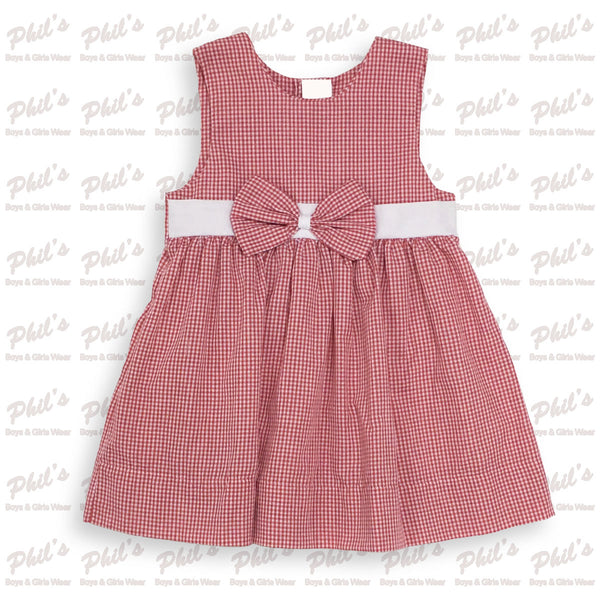 Red Gingham Dress